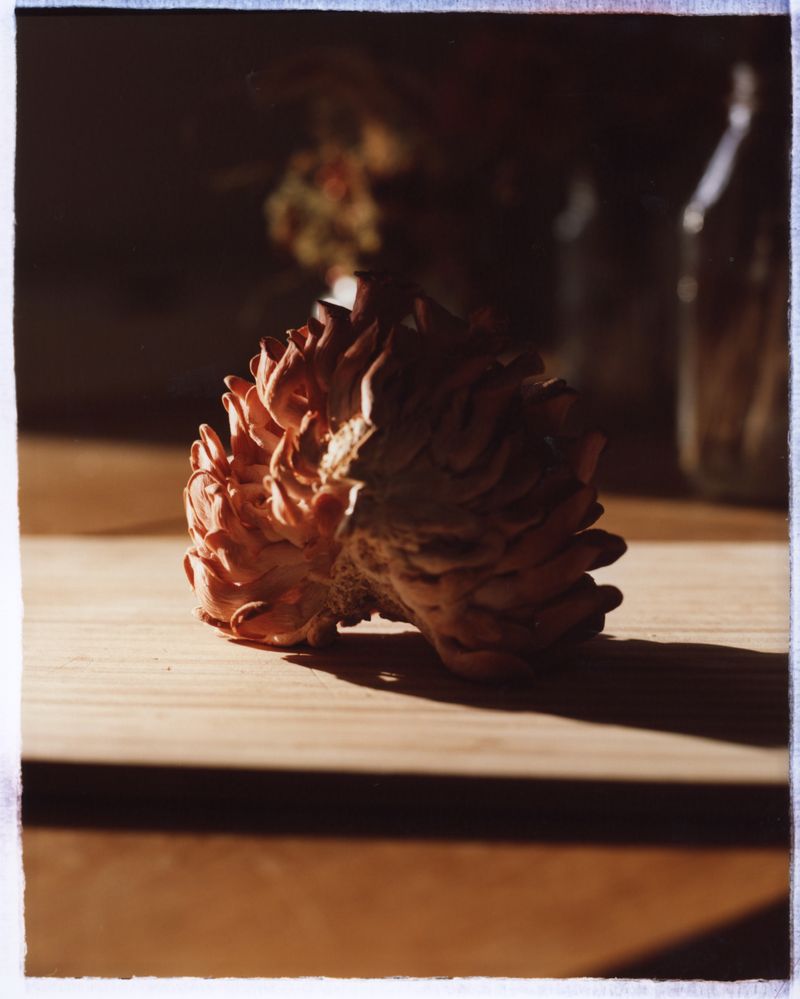 © Jingru Wang - Image from the Go see* photography project