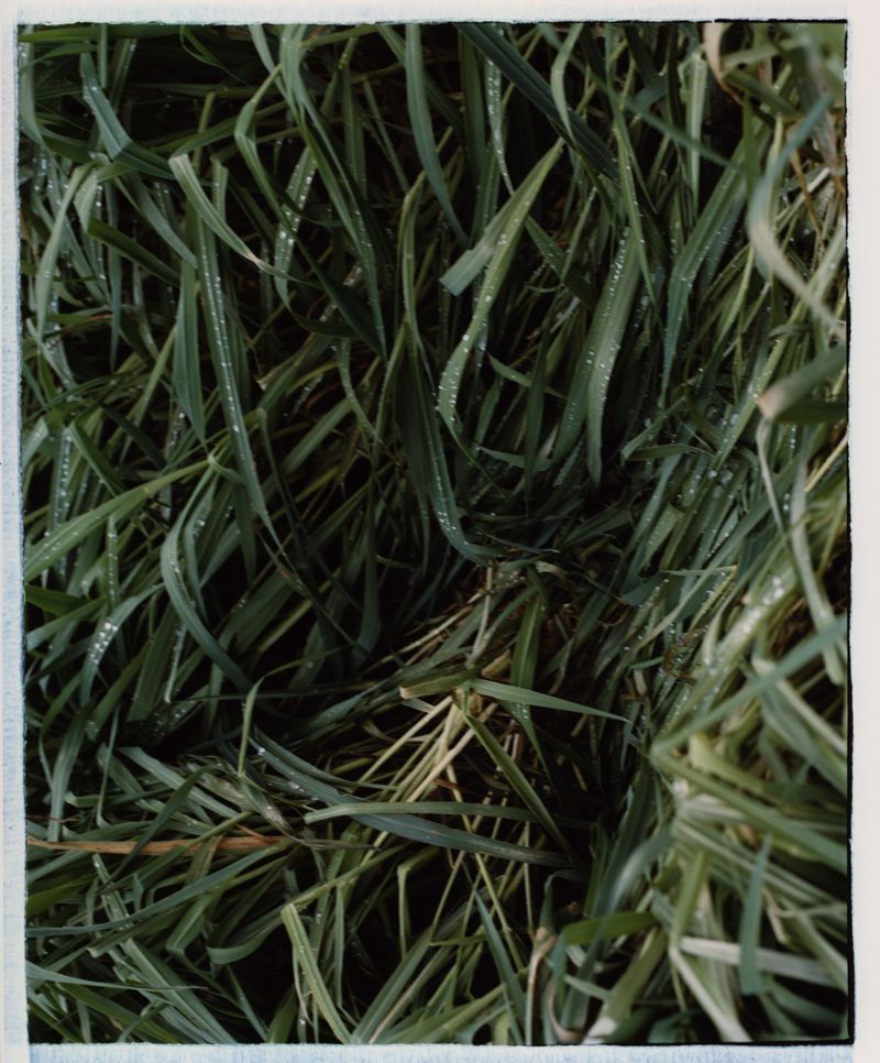 © Jingru Wang - Image from the Go see* photography project