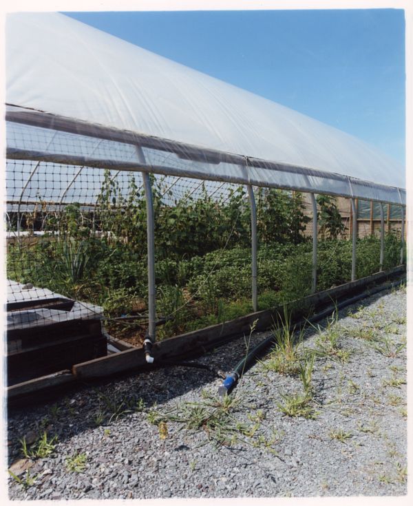 © Jingru Wang - Image from the Go see* photography project