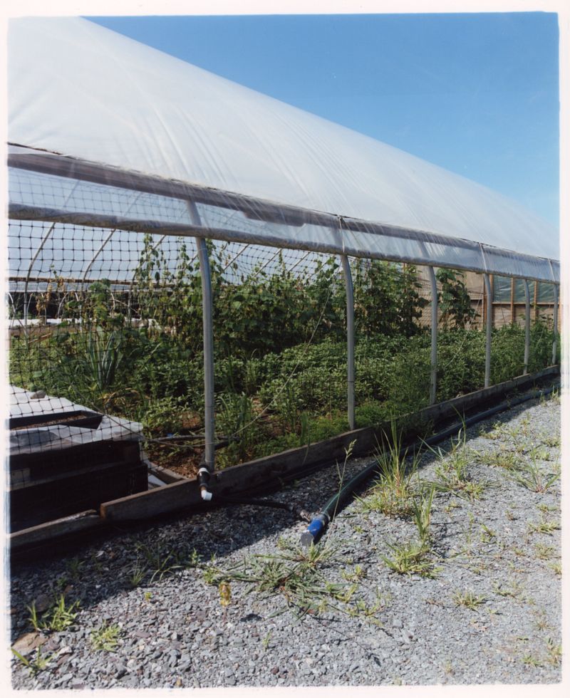 © Jingru Wang - Image from the Go see* photography project