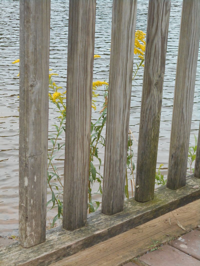 © Jingru Wang - Image from the Poor Image photography project