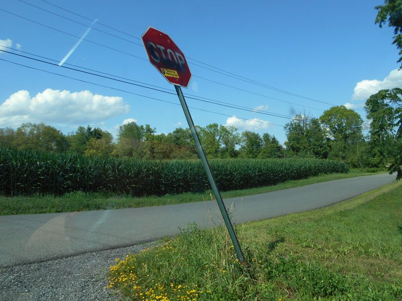© Jingru Wang - Image from the Poor Image photography project