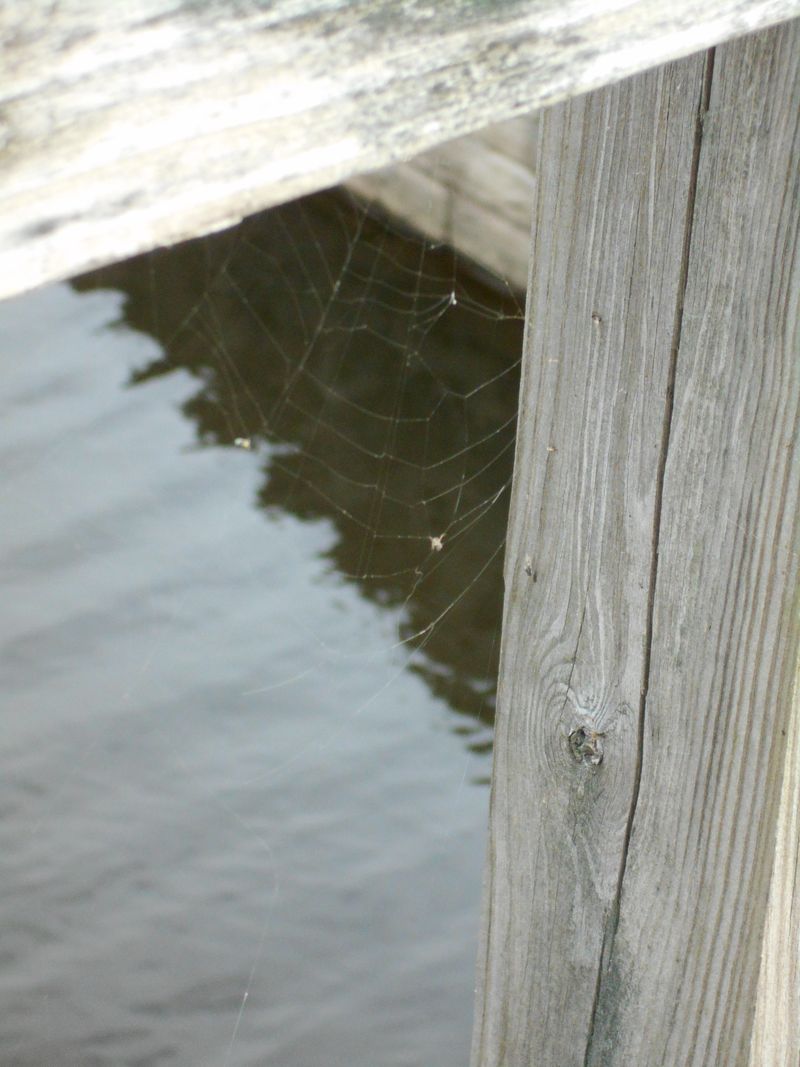 © Jingru Wang - Image from the Poor Image photography project