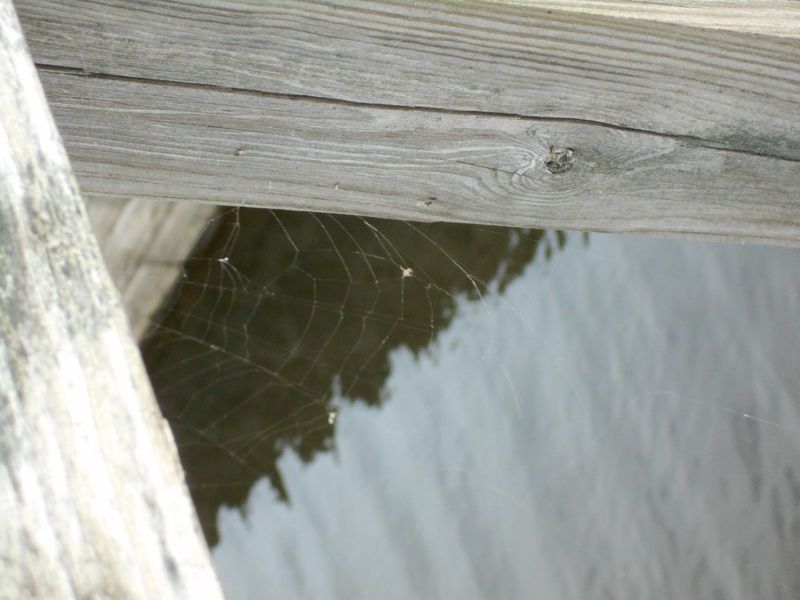 © Jingru Wang - Image from the Poor Image photography project