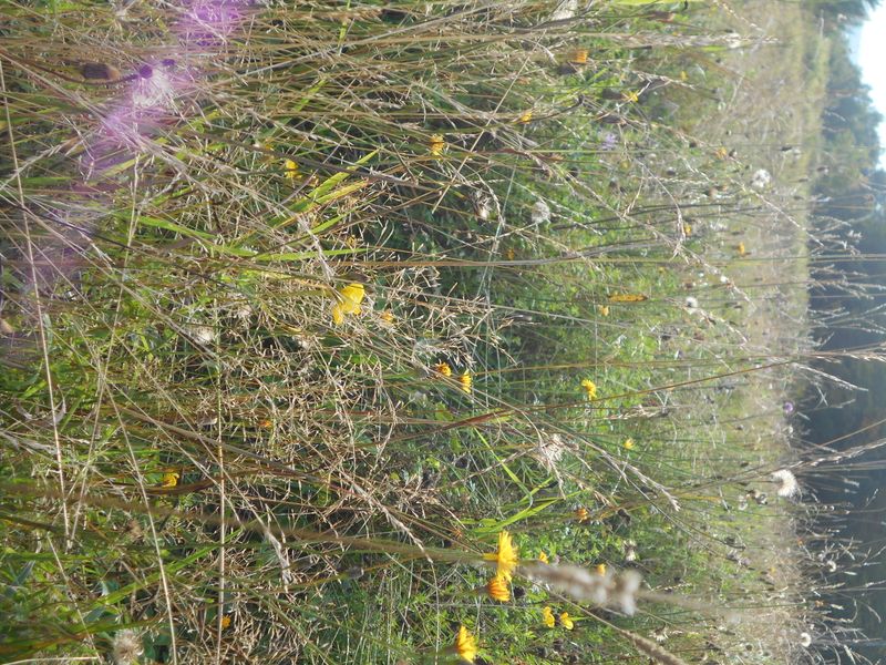 © Jingru Wang - Image from the Poor Image photography project