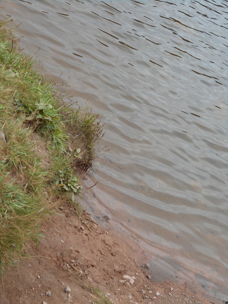 © Jingru Wang - Image from the Poor Image photography project