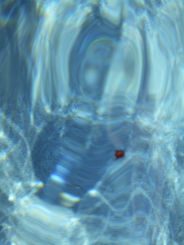 © Jingru Wang - Image from the Poor Image photography project