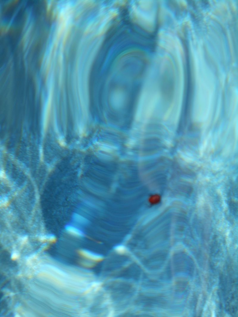 © Jingru Wang - Image from the Poor Image photography project