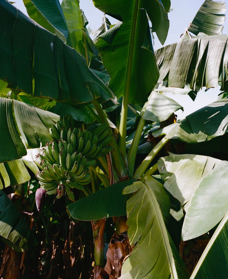 © Jingru Wang - Image from the Southern Sands photography project
