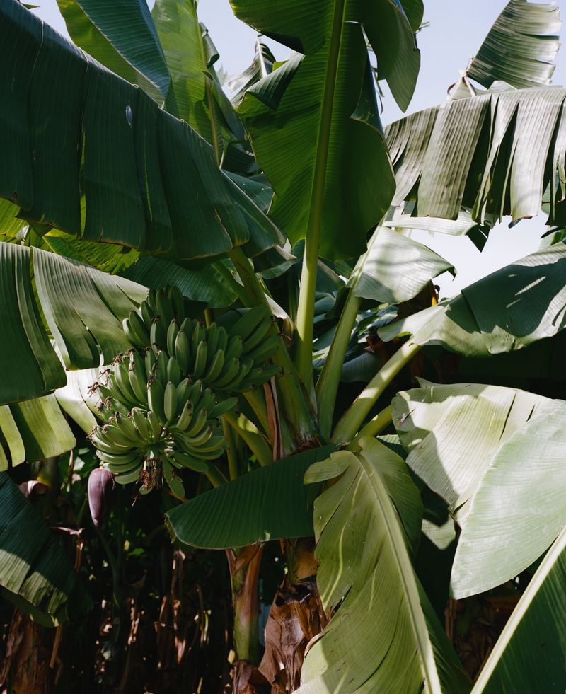 © Jingru Wang - Image from the Southern Sands photography project