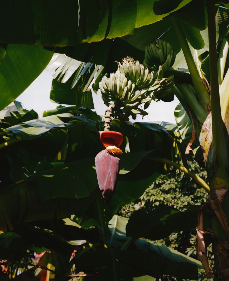 © Jingru Wang - Image from the Southern Sands photography project