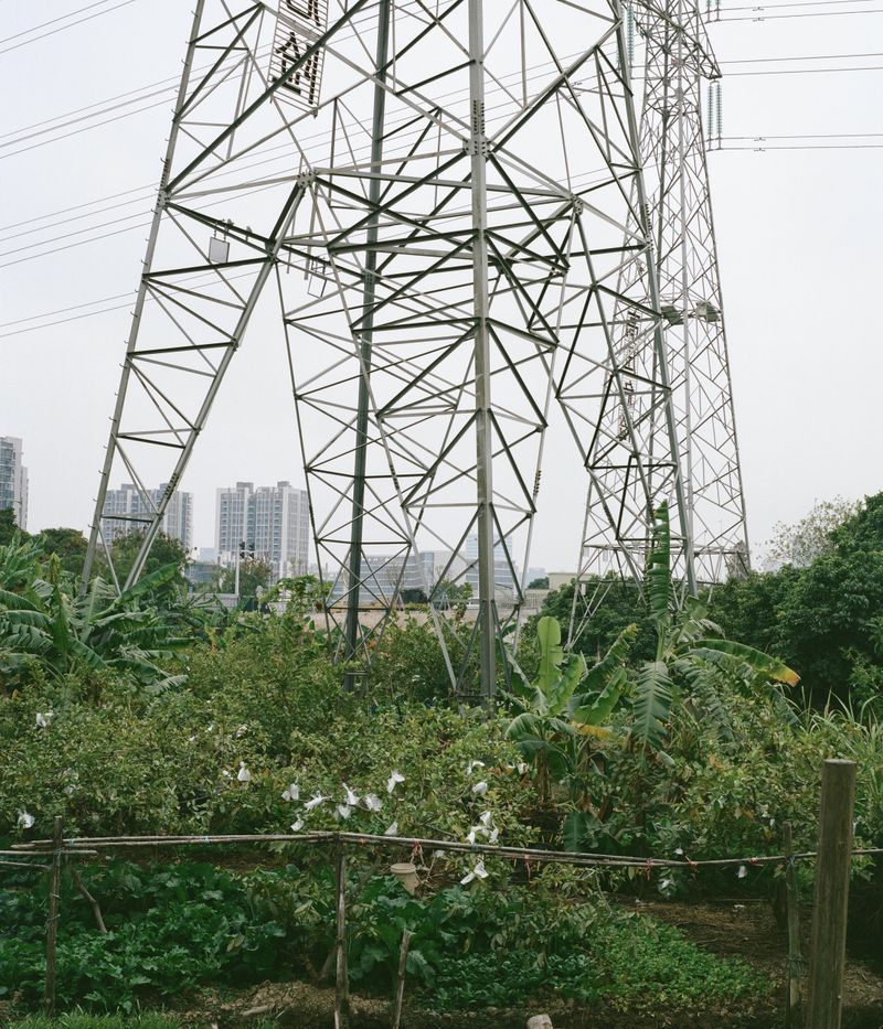 © Jingru Wang - Image from the Southern Sands photography project