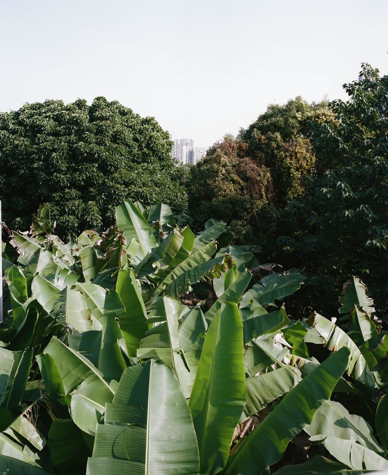 © Jingru Wang - Image from the Southern Sands photography project