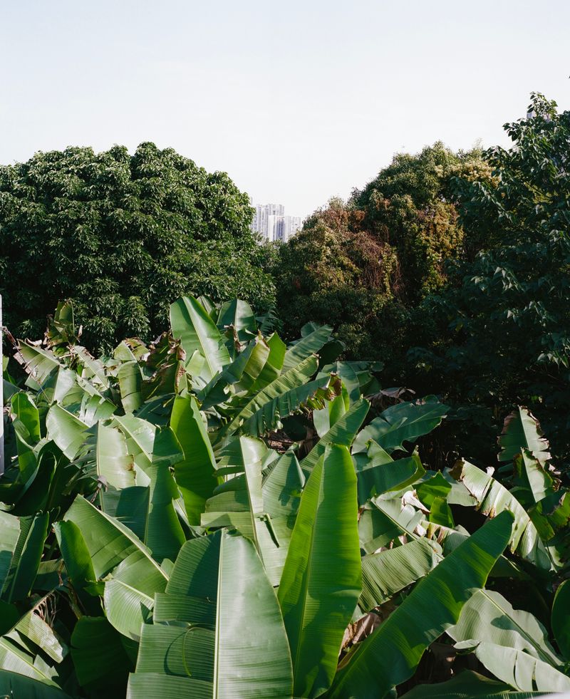 © Jingru Wang - Image from the Southern Sands photography project