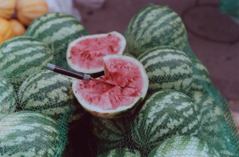 © yeeun kim - An unexpected visit to a wholesale watermelon market in Moldova