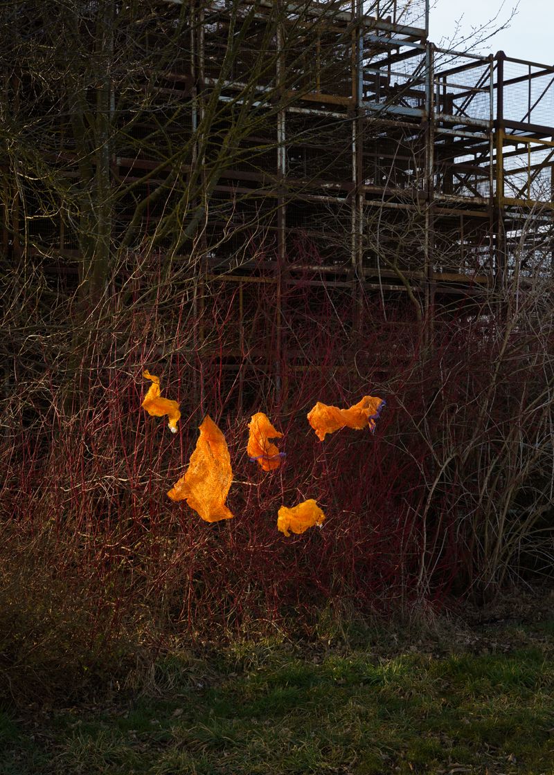© Theresa Wißmann - Potato sacks. Varendorf, 02/2025
