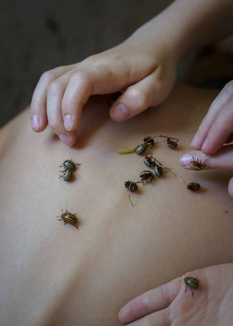 © Theresa Wißmann - Image from the Sprouts and Skins (German title: Vorwiegend festkochend) photography project