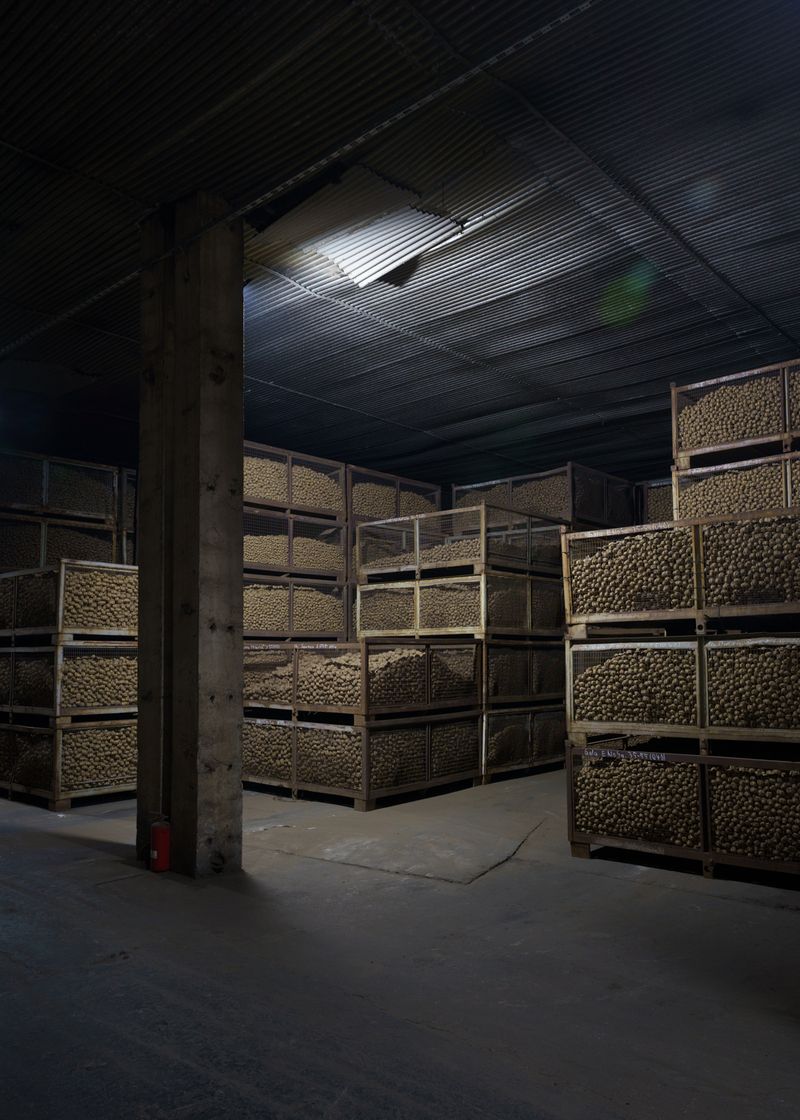 © Theresa Wißmann - Potato warehouse of a potato breeding company. Sanitz, 02/2025