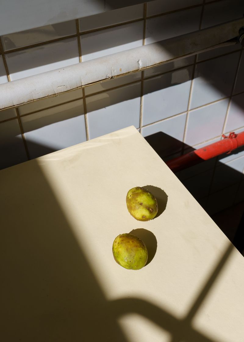 © Theresa Wißmann - Image from the Sprouts and Skins photography project