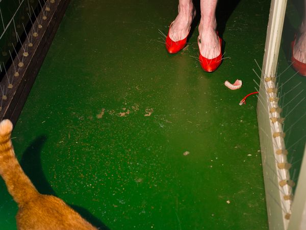 © Tania Franco Klein - Broadband, 49.22Mbps