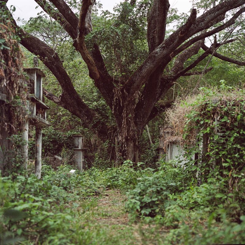 © Carlos Saavedra - Image from the Echoes of Armero photography project