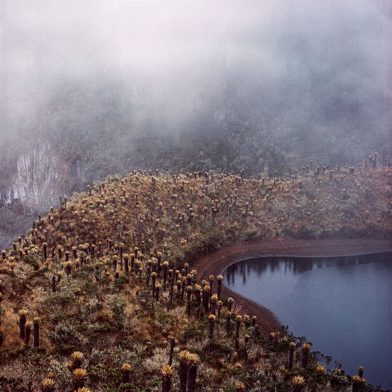 © Carlos Saavedra - Image from the Echoes of Armero photography project