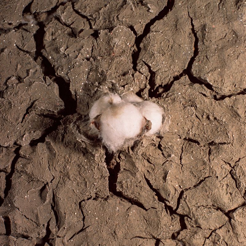 © Carlos Saavedra - Image from the Echoes of Armero photography project