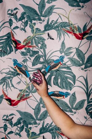 Tem Bigato Nessa Goiaba