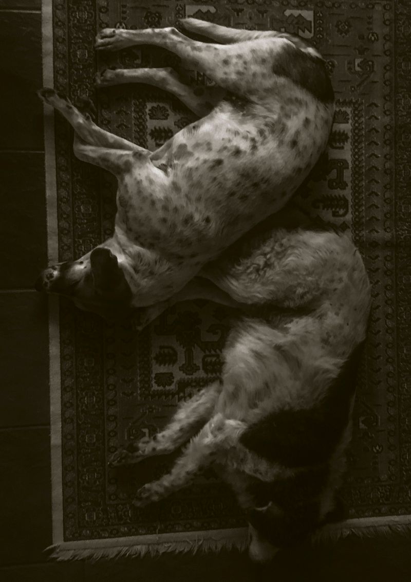 © Cecilia Sordi Campos - Image from the (ses·ma·ri·a) photography project