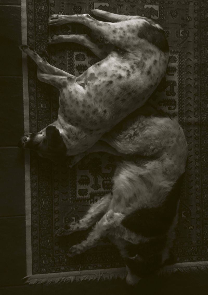 © Cecilia Sordi Campos - Image from the (ses·ma·ri·a) photography project