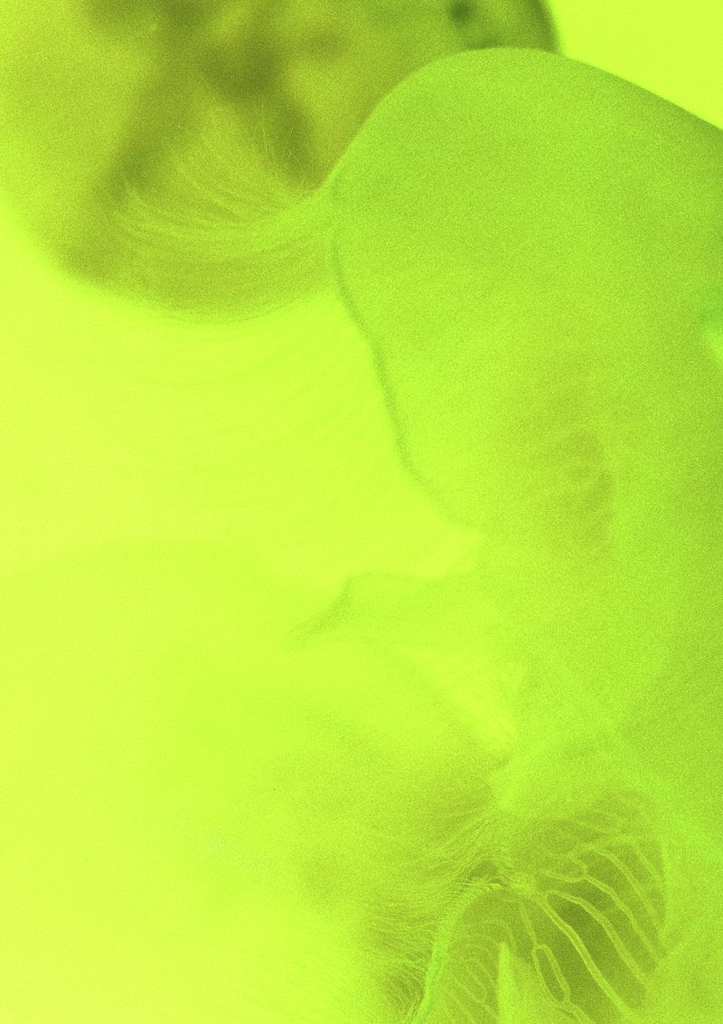 © Cecilia Sordi Campos - Image from the (ses·ma·ri·a) photography project
