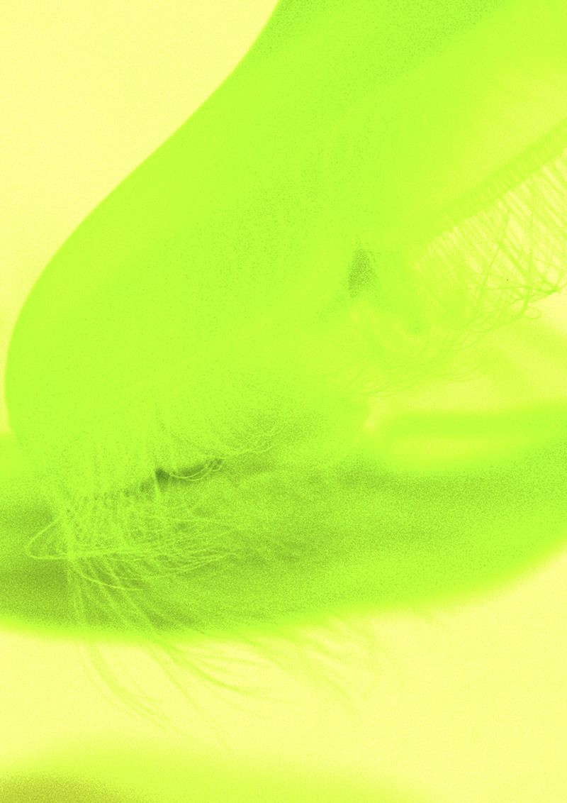 © Cecilia Sordi Campos - Image from the (ses·ma·ri·a) photography project
