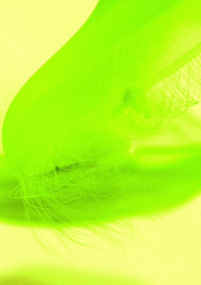 © Cecilia Sordi Campos - Image from the (ses·ma·ri·a) photography project