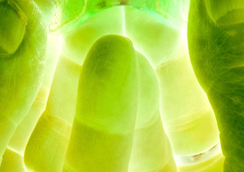 © Cecilia Sordi Campos - Image from the (ses·ma·ri·a) photography project