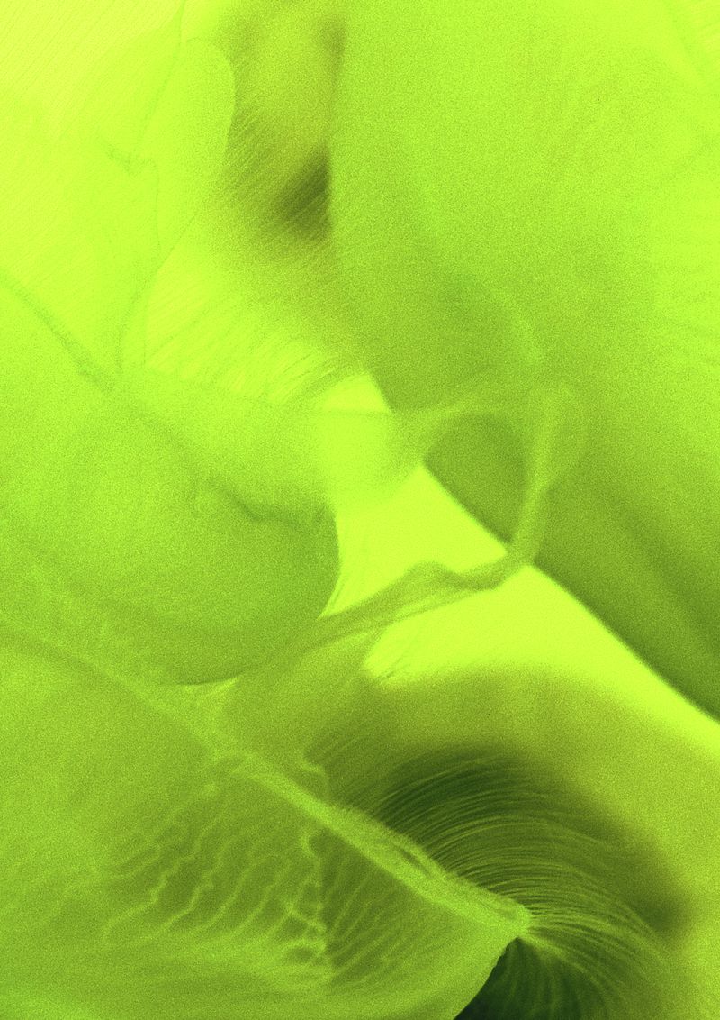 © Cecilia Sordi Campos - Image from the (ses·ma·ri·a) photography project