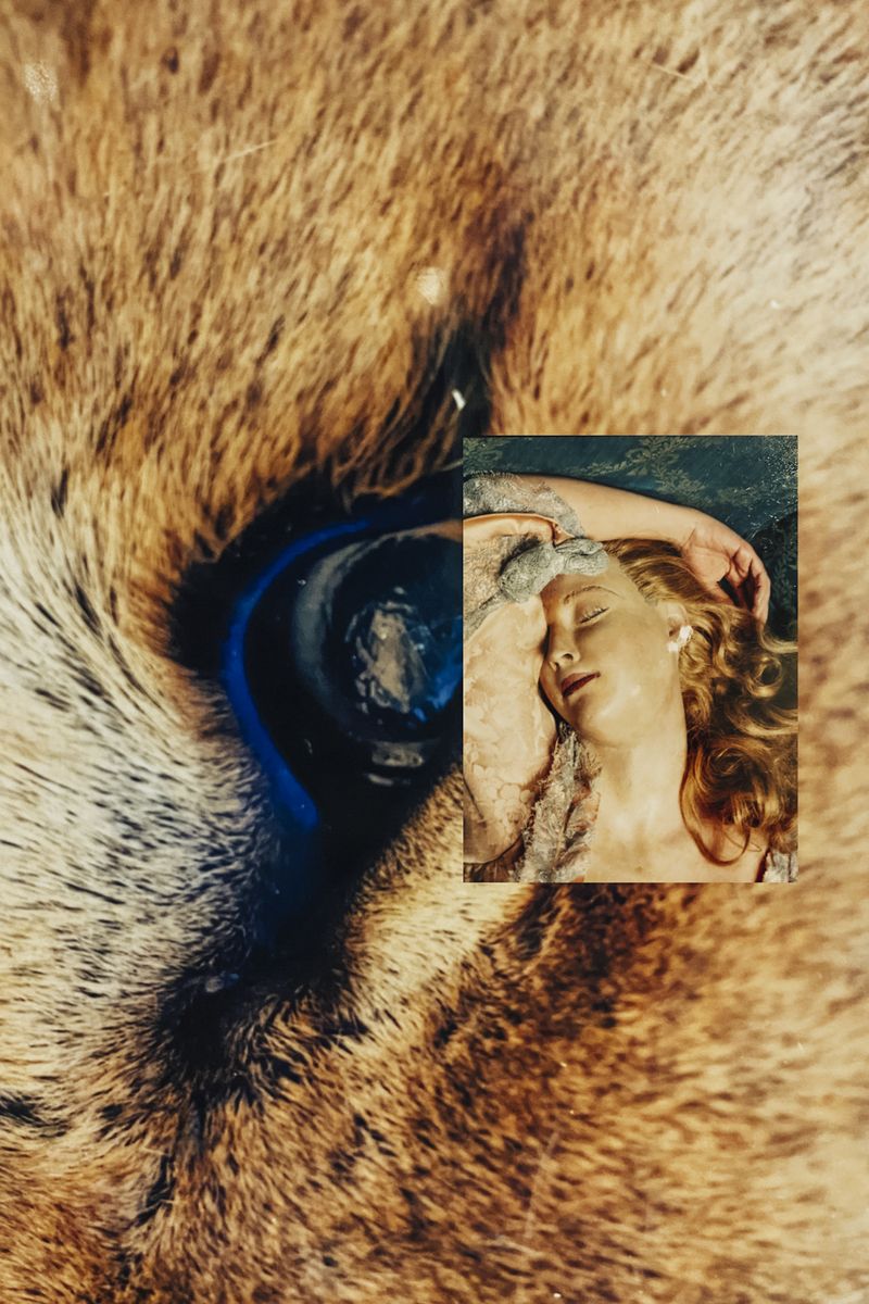 © Cecilia Sordi Campos - Image from the Augúrio and the smells that were not there photography project