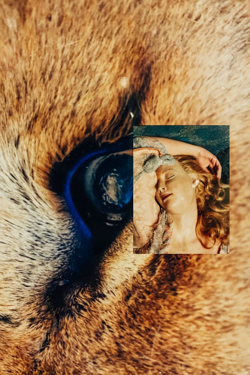 © Cecilia Sordi Campos - Image from the Augúrio and the smells that were not there photography project