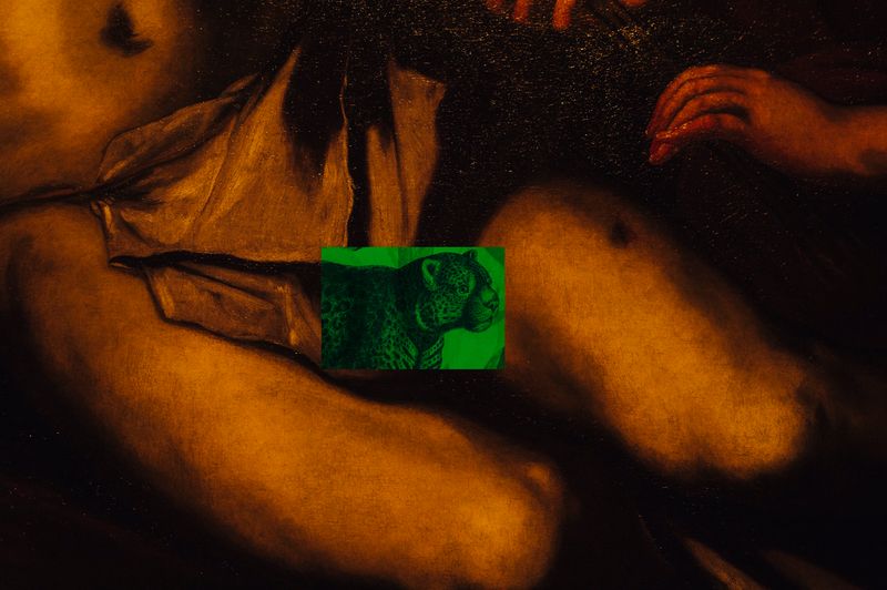 © Cecilia Sordi Campos - Image from the Augúrio and the smells that were not there photography project