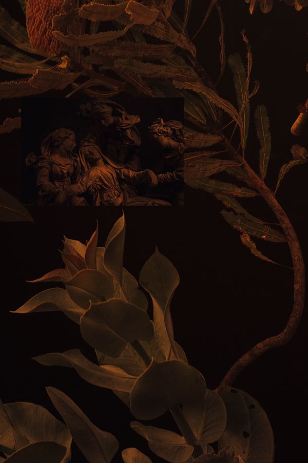 © Cecilia Sordi Campos - Image from the Augúrio and the smells that were not there photography project