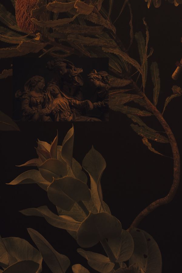 © Cecilia Sordi Campos - Image from the Augúrio and the smells that were not there photography project