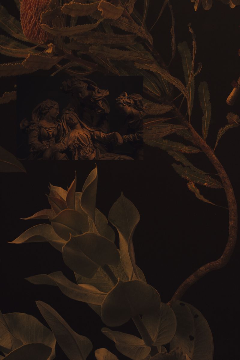 © Cecilia Sordi Campos - Image from the Augúrio and the smells that were not there photography project