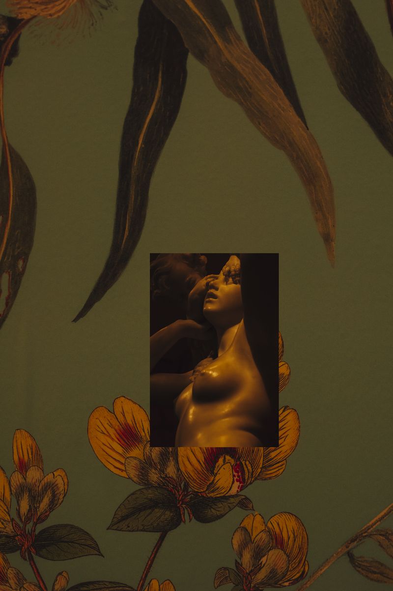 © Cecilia Sordi Campos - Image from the Augúrio and the smells that were not there photography project
