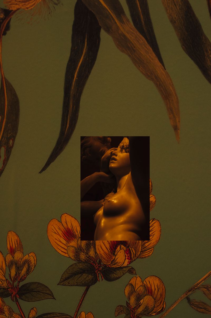 © Cecilia Sordi Campos - Image from the Augúrio and the smells that were not there photography project