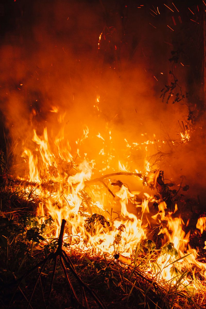 © Cecilia Sordi Campos - A Repulsa de Guaraci