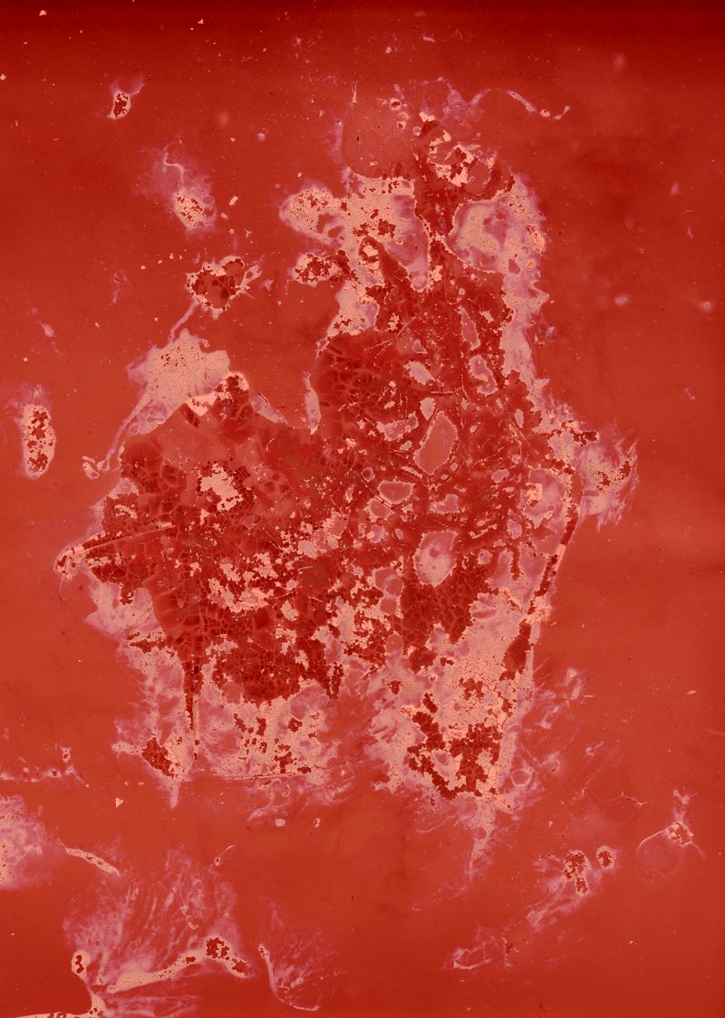 © Cecilia Sordi Campos - Image from the the motherhood that wasn't photography project