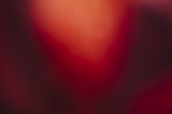 © Cecilia Sordi Campos - não-fecundação#1