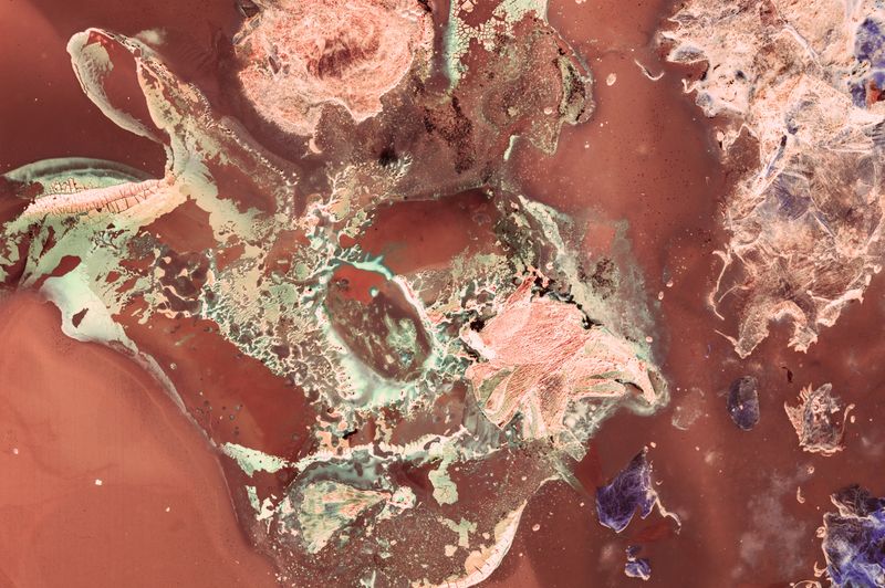 © Cecilia Sordi Campos - Image from the the motherhood that wasn't photography project