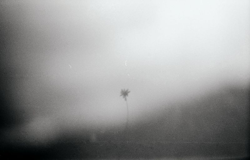 © Carolina Krieger - The desire to fall with eyes wide open