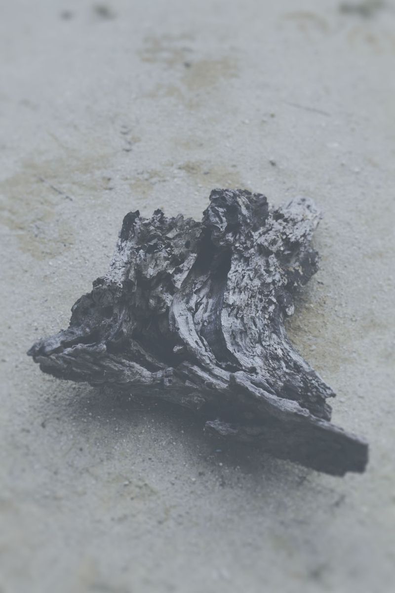 © Carolina Krieger - The desire to fall with eyes wide open