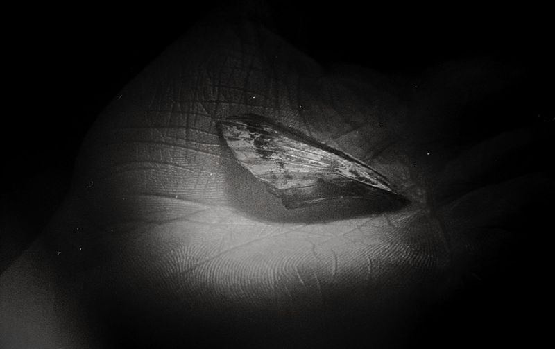 © Carolina Krieger - The desire to fall with eyes wide open